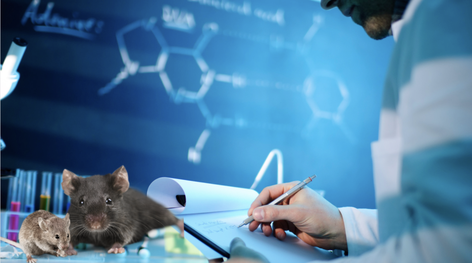 Ученые нашли способ вернуть мышам с травмами спинного мозга возможность ходить image