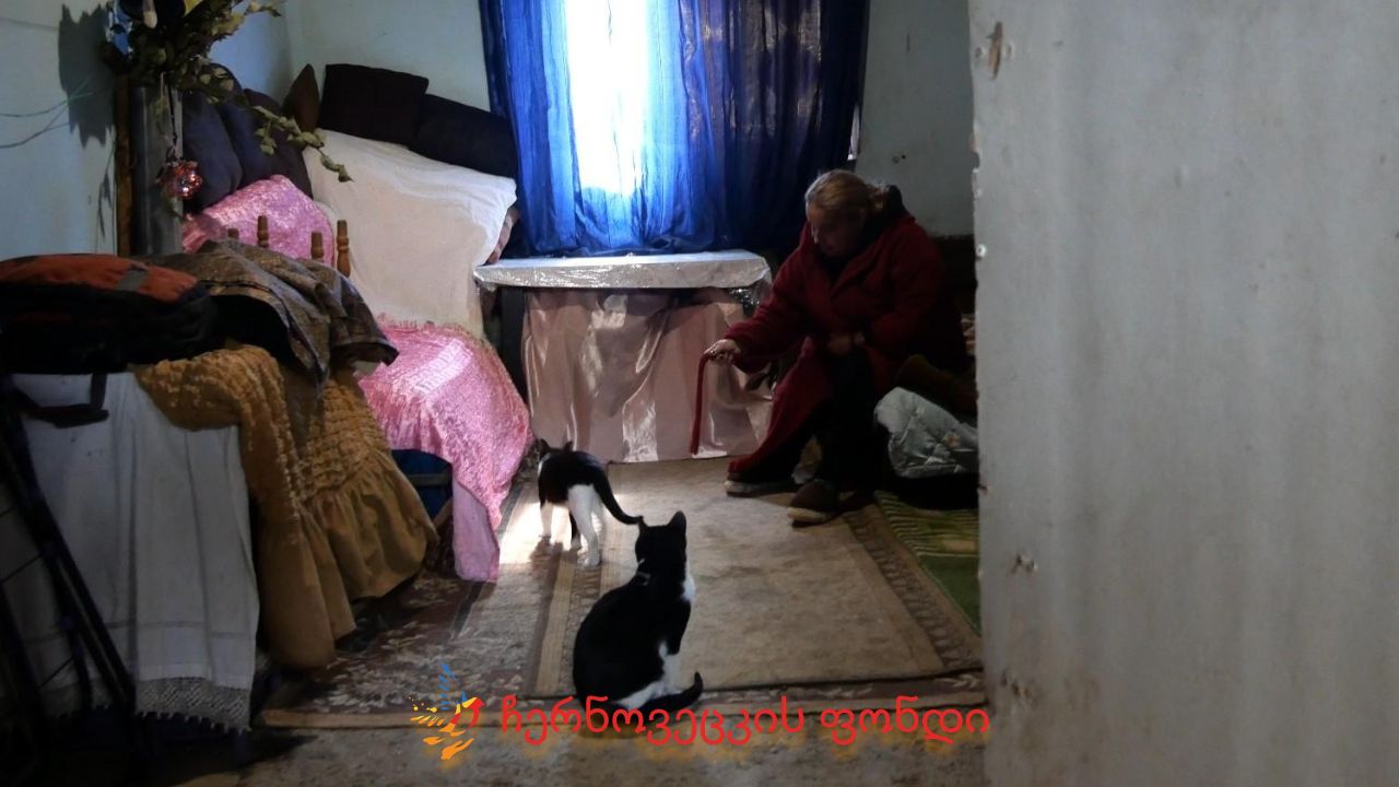 Project gallery