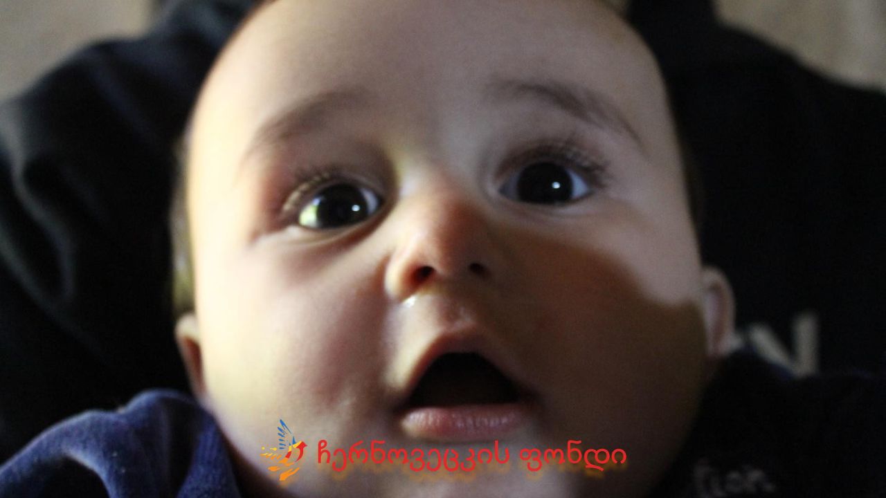 Project gallery