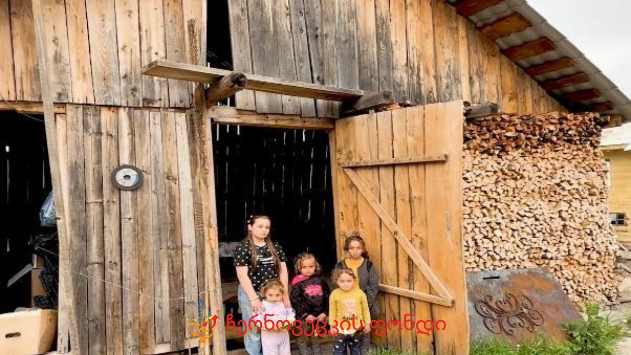 Project gallery